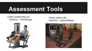 Muscle testing group presentation | PDF