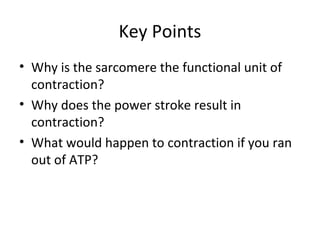 Key Points
• Why is the sarcomere the functional unit of
contraction?
• Why does the power stroke result in
contraction?
• What would happen to contraction if you ran
out of ATP?
 