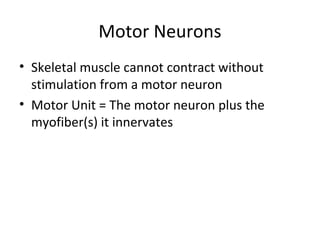 Motor Neurons
• Skeletal muscle cannot contract without
stimulation from a motor neuron
• Motor Unit = The motor neuron plus the
myofiber(s) it innervates
 