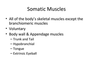 Somatic Muscles
• All of the body’s skeletal muscles except the
branchiomeric muscles
• Voluntary
• Body wall & Appendage muscles
– Trunk and Tail
– Hypobranchial
– Tongue
– Extrinsic Eyeball
 