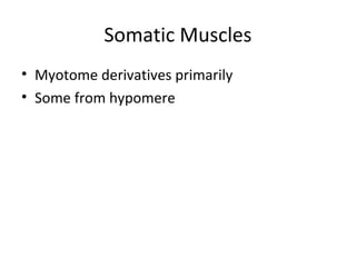 Somatic Muscles
• Myotome derivatives primarily
• Some from hypomere
 