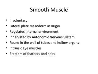 Smooth Muscle
• Involuntary
• Lateral plate mesoderm in origin
• Regulates internal environment
• Innervated by Autonomic Nervous System
• Found in the wall of tubes and hollow organs
• Intrinsic Eye muscles
• Erectors of feathers and hairs
 