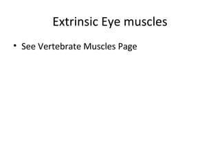 Extrinsic Eye muscles
• See Vertebrate Muscles Page
 