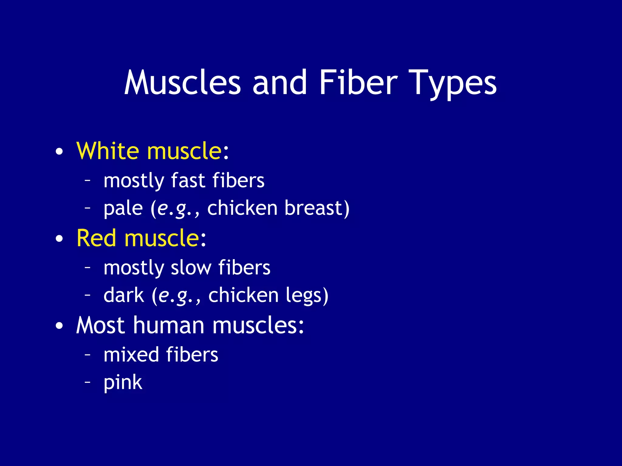 Muscles and Fiber Types
• White muscle:
– mostly fast fibers
– pale (e.g., chicken breast)
• Red muscle:
– mostly slow fibers
– dark (e.g., chicken legs)
• Most human muscles:
– mixed fibers
– pink
 