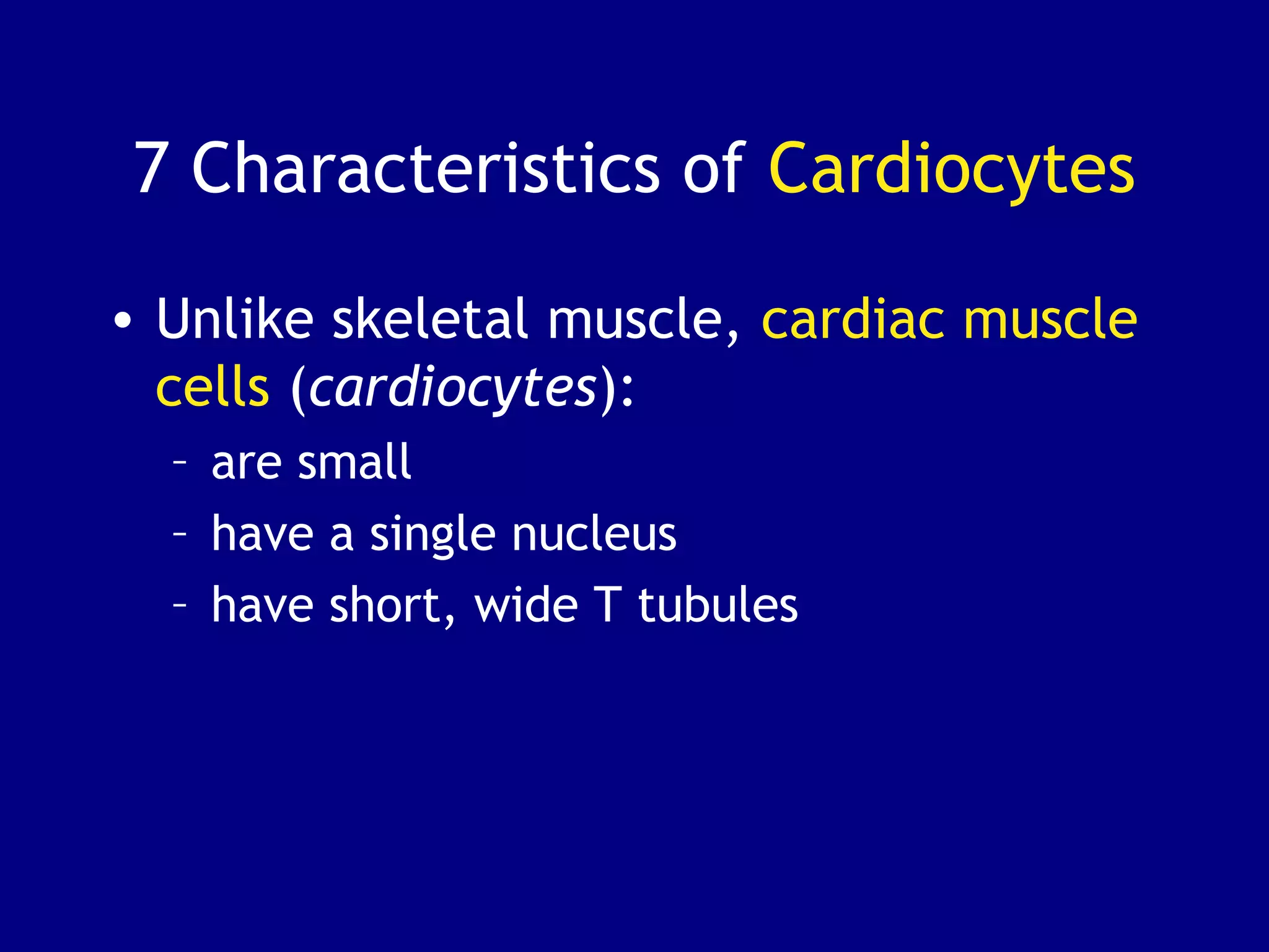 7 Characteristics of Cardiocytes
• Unlike skeletal muscle, cardiac muscle
cells (cardiocytes):
– are small
– have a single nucleus
– have short, wide T tubules
 