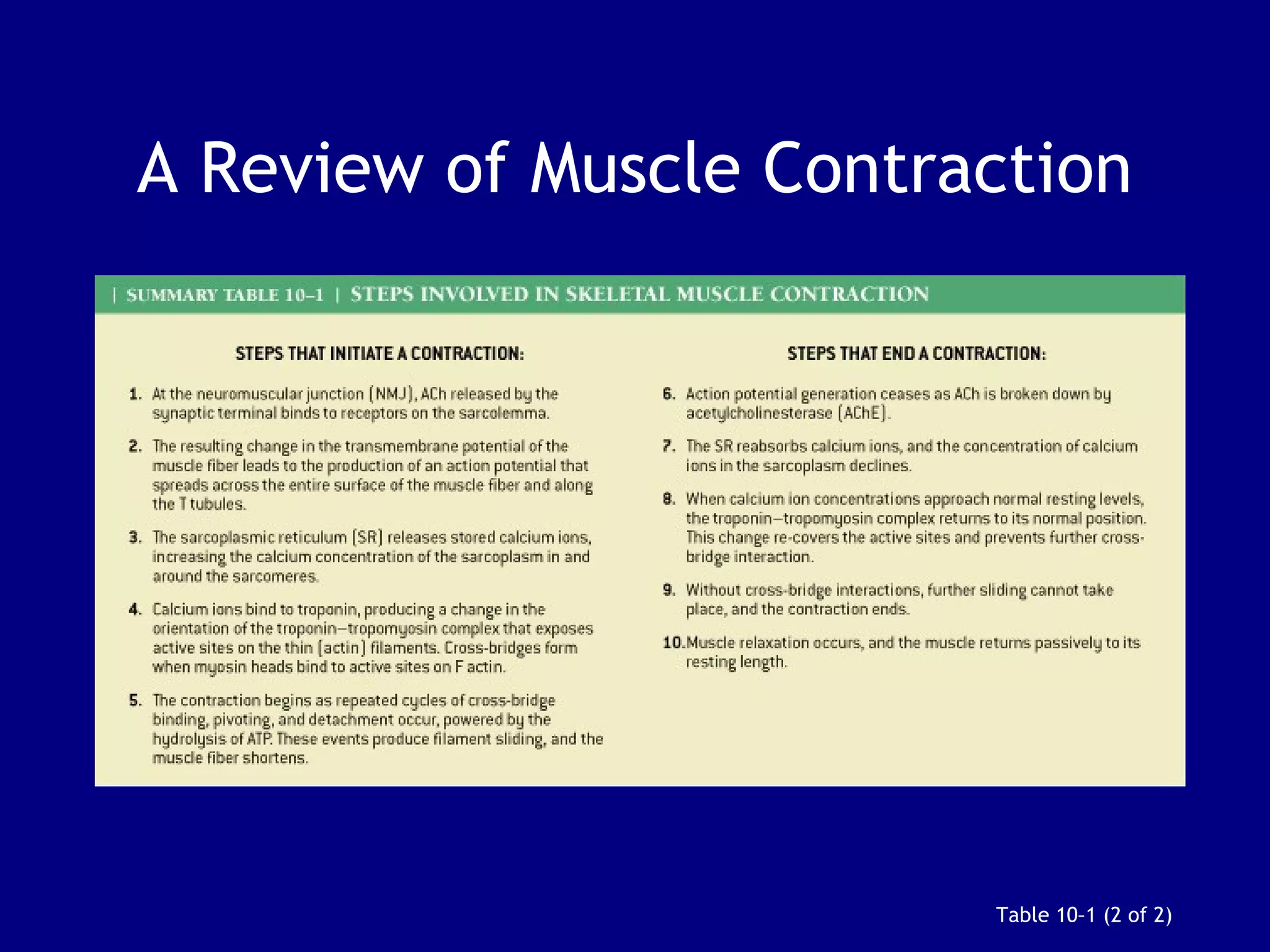 A Review of Muscle Contraction
Table 10–1 (2 of 2)
 