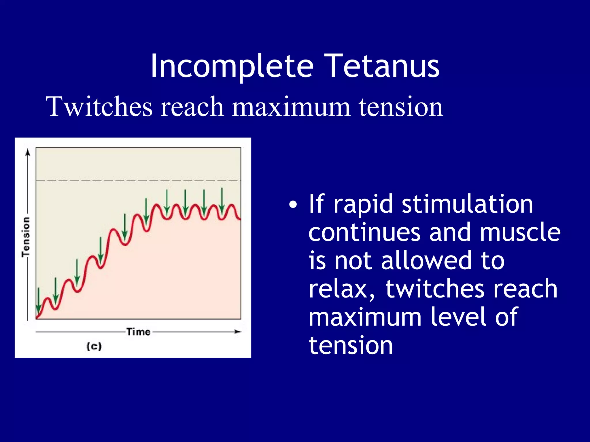 Incomplete Tetanus
• If rapid stimulation
continues and muscle
is not allowed to
relax, twitches reach
maximum level of
tension
Twitches reach maximum tension
 