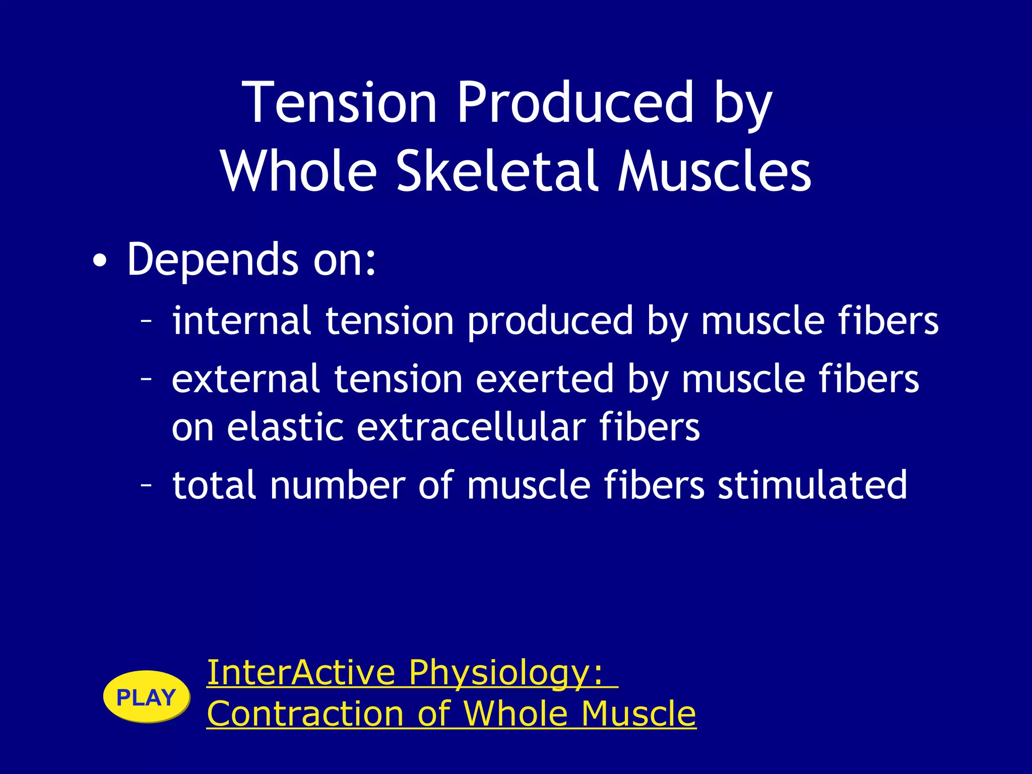 InterActive Physiology:
Contraction of Whole Muscle
PLAYPLAY
Tension Produced by
Whole Skeletal Muscles
• Depends on:
– internal tension produced by muscle fibers
– external tension exerted by muscle fibers
on elastic extracellular fibers
– total number of muscle fibers stimulated
 