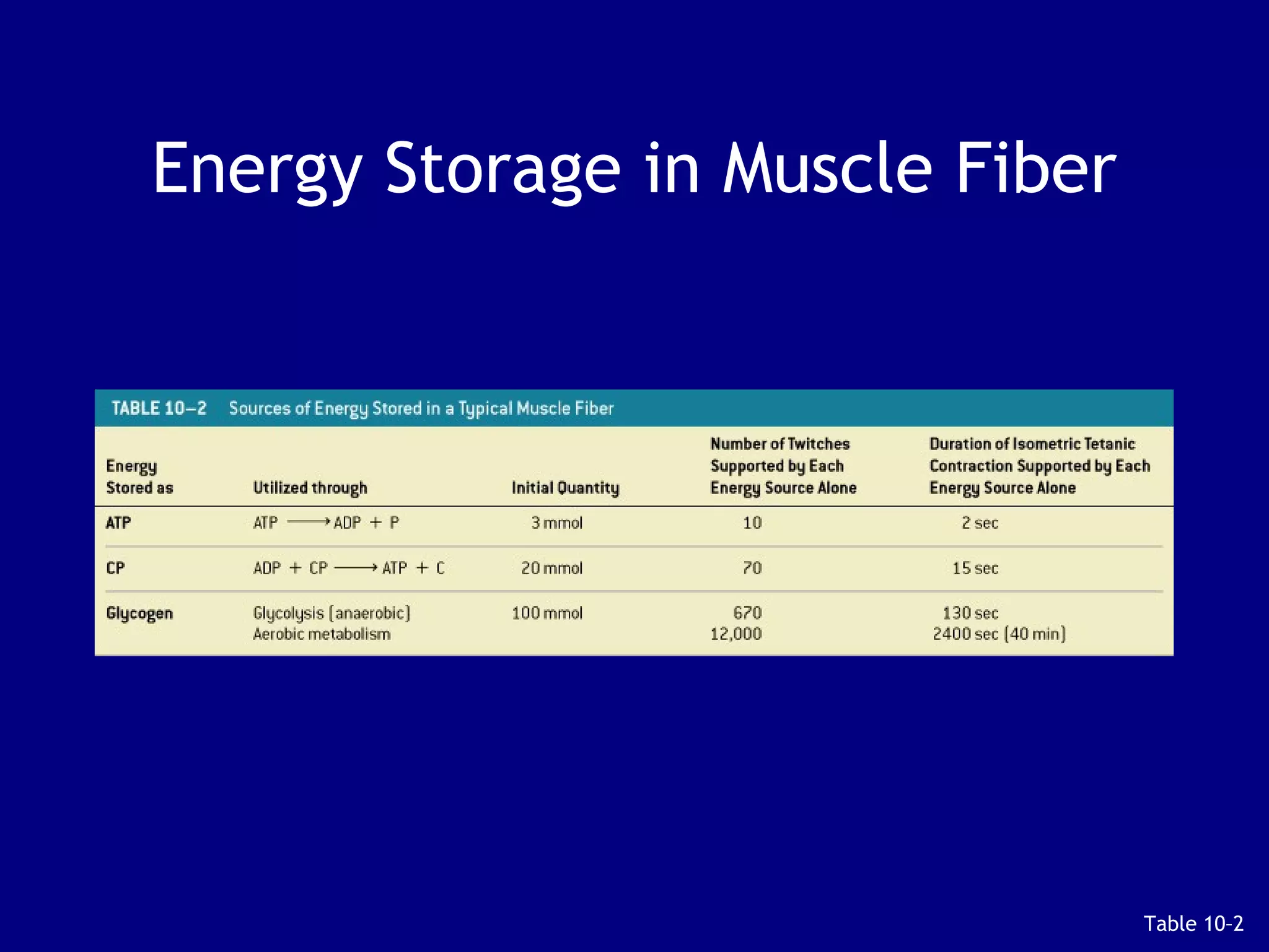 Energy Storage in Muscle Fiber
Table 10–2
 
