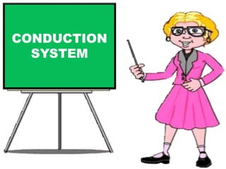 CONDUCTION 
SYSTEM 
 