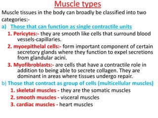 MUSCLE TISSUE.ppt
