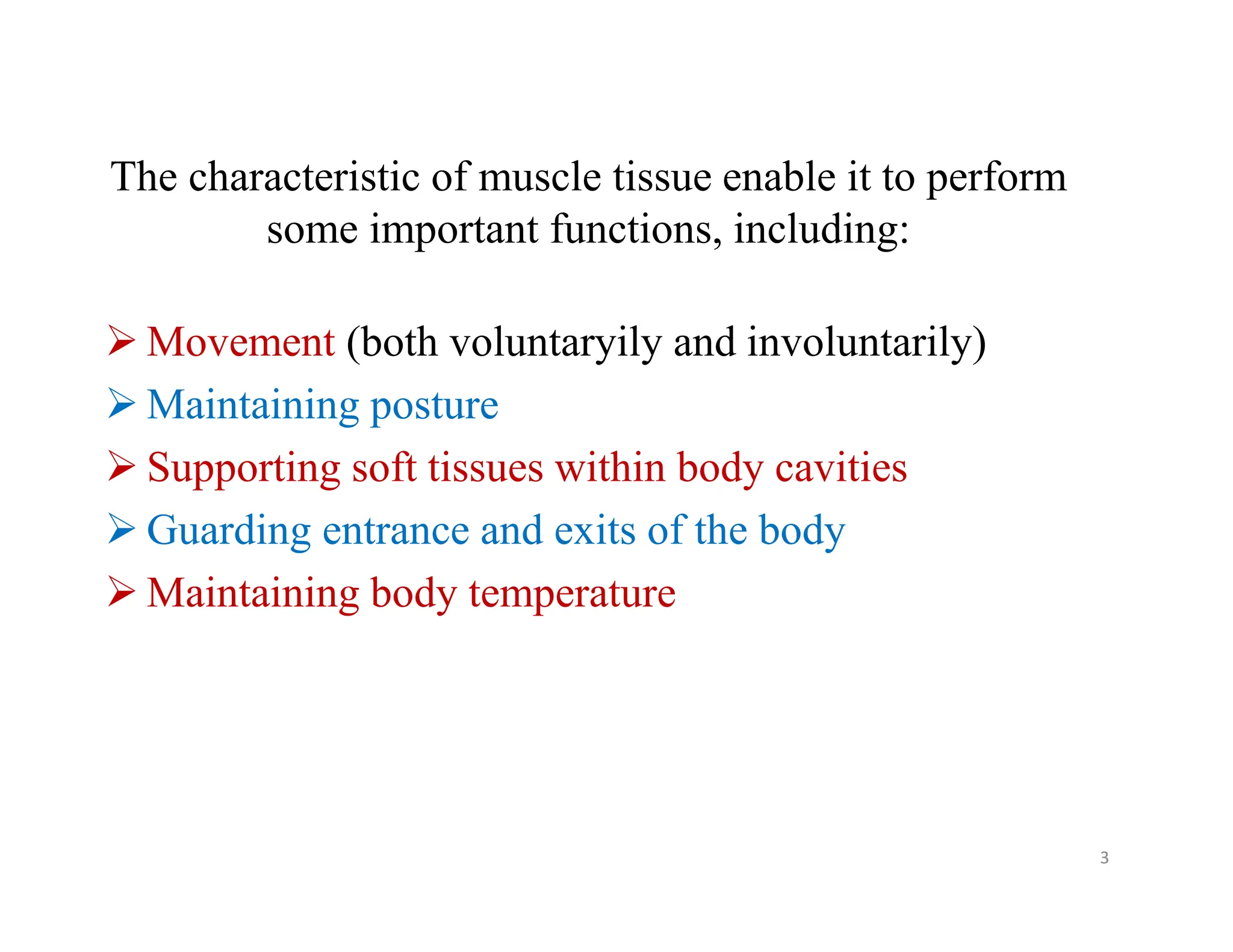 muscle tissue 2.pdffufygugyytyfyytygygygyf | PDF