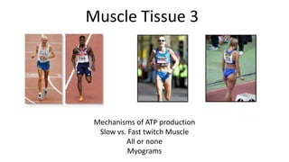 Muscle Tissue 3

Mechanisms of ATP production
Slow vs. Fast twitch Muscle
All or none
Myograms

 