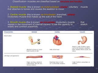 Comprehensive Overview of Muscle Tissue Types, Structure, and Functions ...