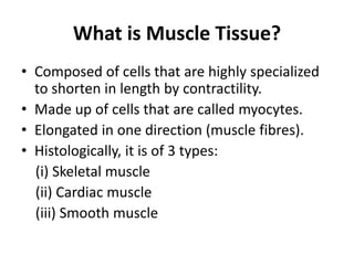 Mascular Tissues Notes.pdf Muscle_tissue_pdf notes of muscle tissue | PDF