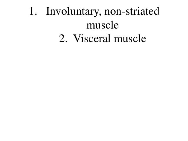 Muscle tissue practice questions