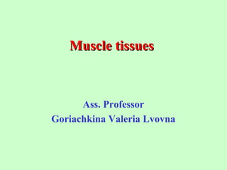 Muscle tissuesMuscle tissues
Ass. Professor
Goriachkina Valeria Lvovna
 