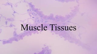 Muscle Tissues
 