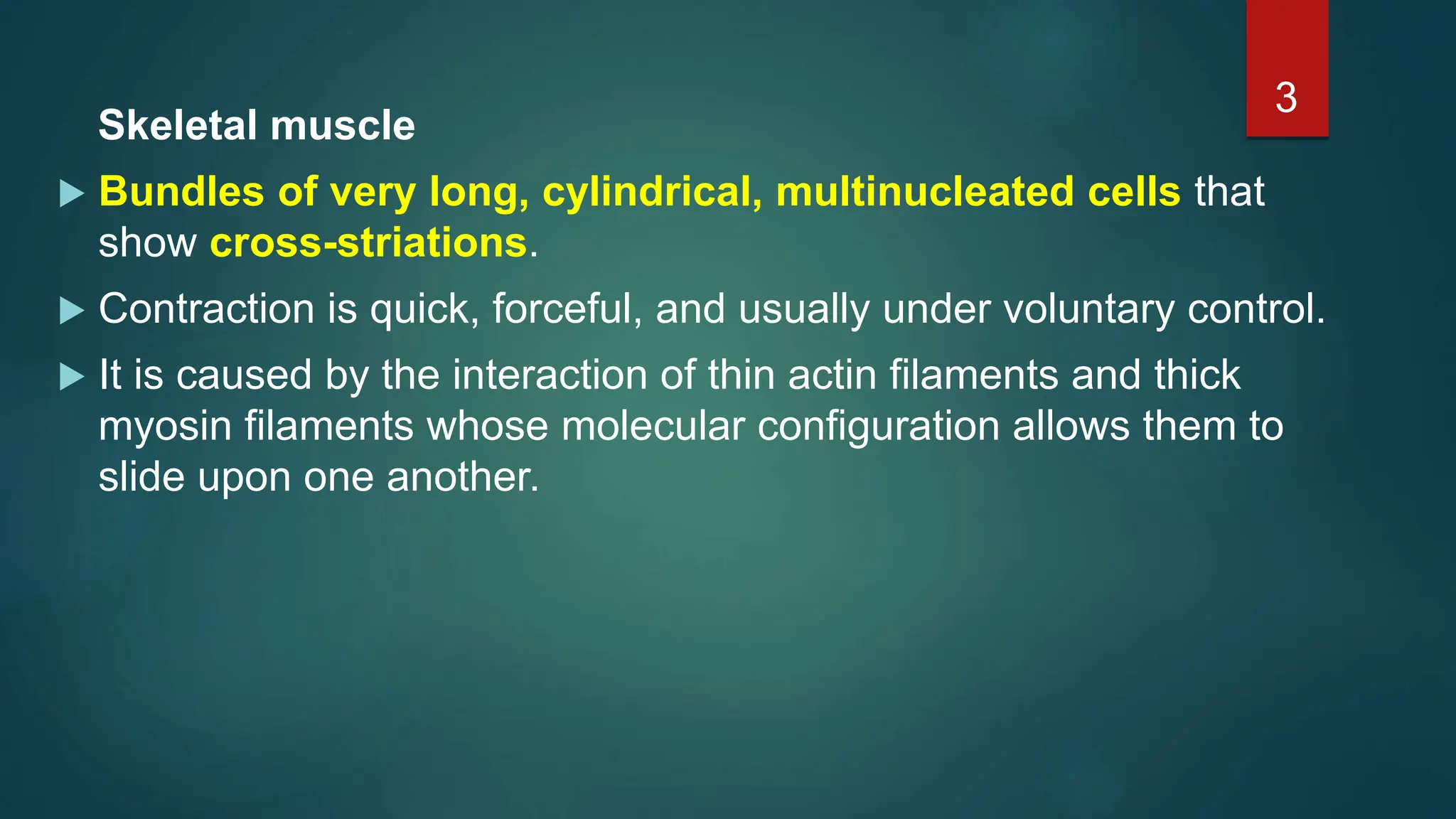 Skeletal muscle
 Bundles of very long, cylindrical, multinucleated cells that
show cross-striations.
 Contraction is quick, forceful, and usually under voluntary control.
 It is caused by the interaction of thin actin filaments and thick
myosin filaments whose molecular configuration allows them to
slide upon one another.
3
 