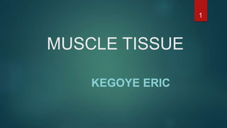 MUSCLE TISSUE
KEGOYE ERIC
1
 