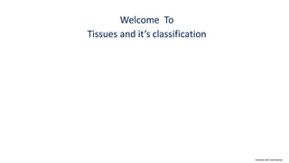 Muscle tissue slides
