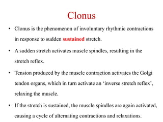 Clonus
• Clonus is the phenomenon of involuntary rhythmic contractions
in response to sudden sustained stretch.
• A sudden stretch activates muscle spindles, resulting in the
stretch reflex.

• Tension produced by the muscle contraction activates the Golgi
tendon organs, which in turn activate an „inverse stretch reflex‟,
relaxing the muscle.
• If the stretch is sustained, the muscle spindles are again activated,
causing a cycle of alternating contractions and relaxations.

 
