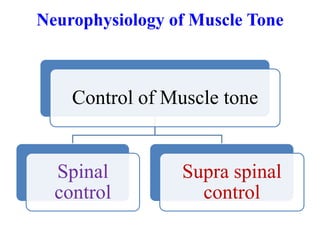 Neurophysiology of Muscle Tone

Control of Muscle tone

Spinal
control

Supra spinal
control

 