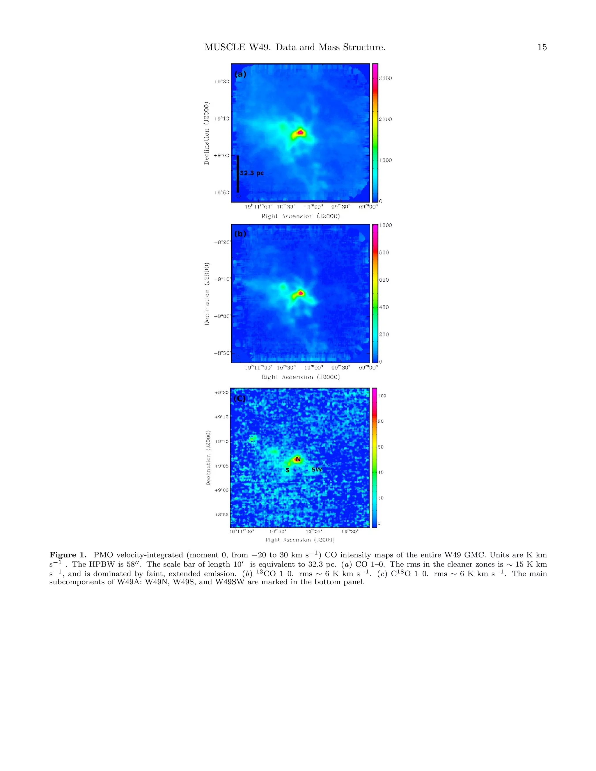 MUSCLE W49. Data and Mass Structure.

15

Figure 1. PMO velocity-integrated (moment 0, from −20 to 30 km s−1 ) CO intensity maps of the entire W49 GMC. Units are K km
s−1 . The HPBW is 58 . The scale bar of length 10 is equivalent to 32.3 pc. (a) CO 1–0. The rms in the cleaner zones is ∼ 15 K km
s−1 , and is dominated by faint, extended emission. (b) 13 CO 1–0. rms ∼ 6 K km s−1 . (c) C18 O 1–0. rms ∼ 6 K km s−1 . The main
subcomponents of W49A: W49N, W49S, and W49SW are marked in the bottom panel.

 