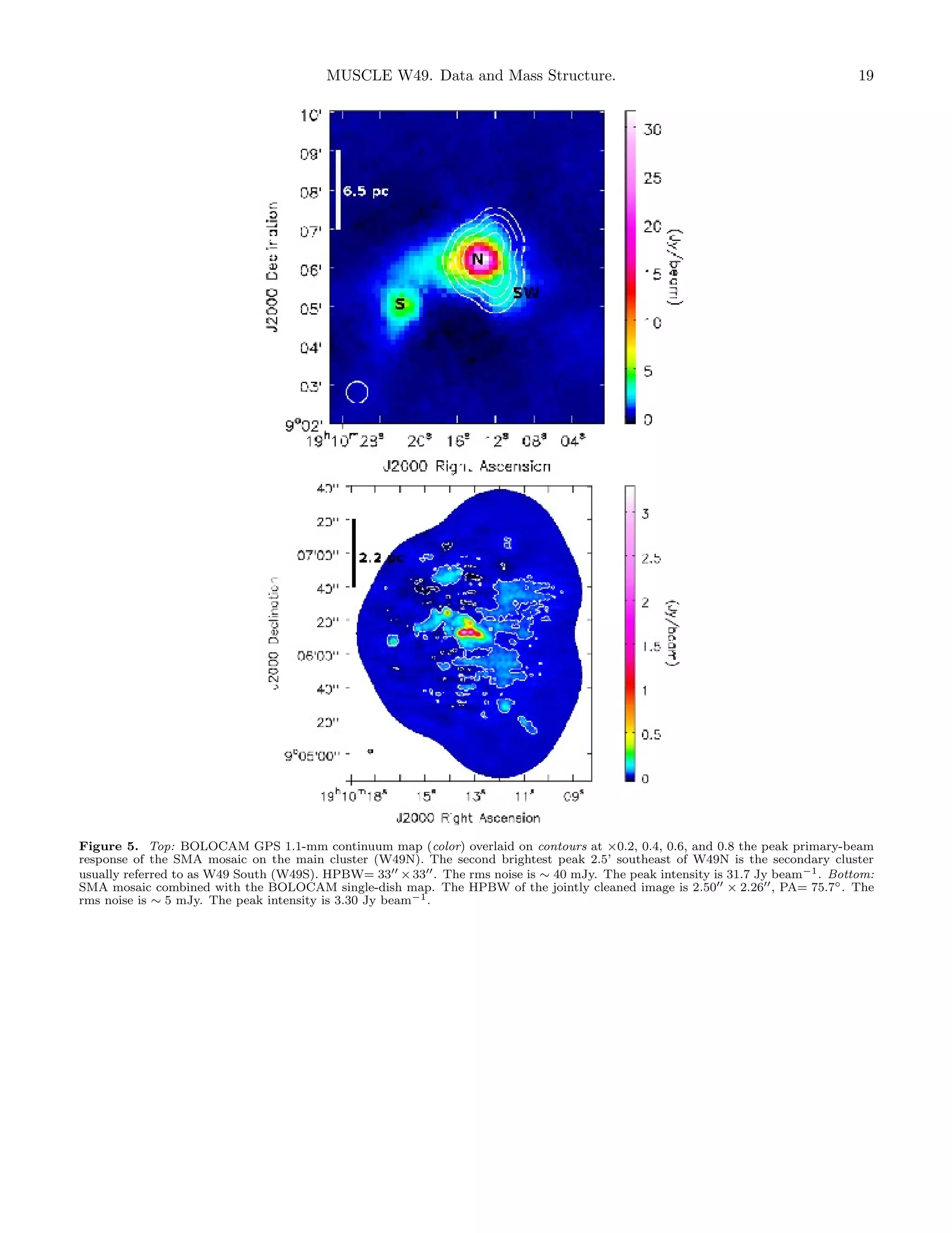 MUSCLE W49. Data and Mass Structure.

19

Figure 5. Top: BOLOCAM GPS 1.1-mm continuum map (color) overlaid on contours at ×0.2, 0.4, 0.6, and 0.8 the peak primary-beam
response of the SMA mosaic on the main cluster (W49N). The second brightest peak 2.5’ southeast of W49N is the secondary cluster
usually referred to as W49 South (W49S). HPBW= 33 × 33 . The rms noise is ∼ 40 mJy. The peak intensity is 31.7 Jy beam−1 . Bottom:
SMA mosaic combined with the BOLOCAM single-dish map. The HPBW of the jointly cleaned image is 2.50 × 2.26 , PA= 75.7◦ . The
rms noise is ∼ 5 mJy. The peak intensity is 3.30 Jy beam−1 .

 
