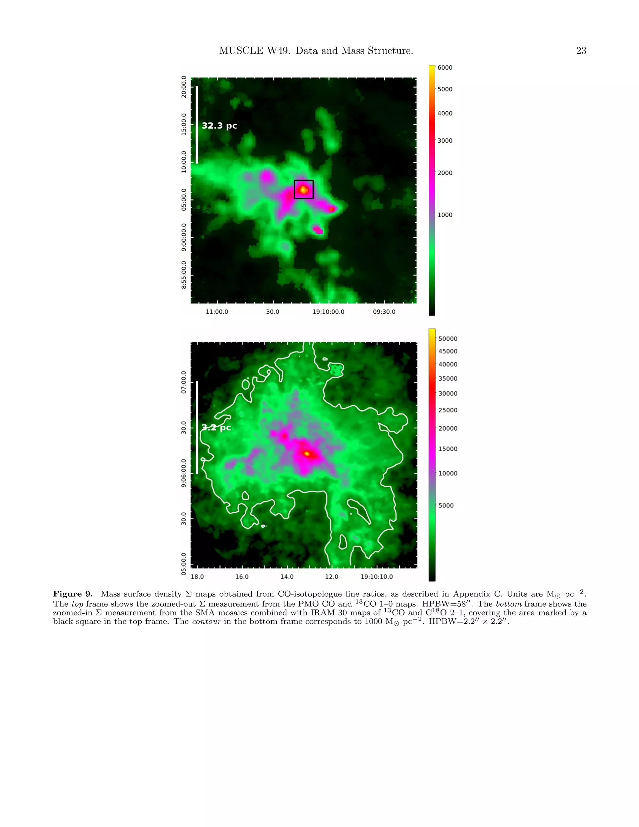 MUSCLE W49. Data and Mass Structure.

23

Figure 9. Mass surface density Σ maps obtained from CO-isotopologue line ratios, as described in Appendix C. Units are M pc−2 .
The top frame shows the zoomed-out Σ measurement from the PMO CO and 13 CO 1–0 maps. HPBW=58 . The bottom frame shows the
zoomed-in Σ measurement from the SMA mosaics combined with IRAM 30 maps of 13 CO and C18 O 2–1, covering the area marked by a
black square in the top frame. The contour in the bottom frame corresponds to 1000 M pc−2 . HPBW=2.2 × 2.2 .

 