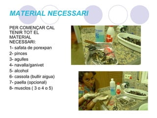 MATERIAL NECESSARIPER COMENÇAR CAL TENIR TOT EL MATERIAL NECESSARI:1- safata de porexpan2- pinces3- agulles 4- navalla/ganivet5- alcohol6- cassola (bullir aigua)7- paella (opcional)8- musclos ( 3 o 4 o 5)