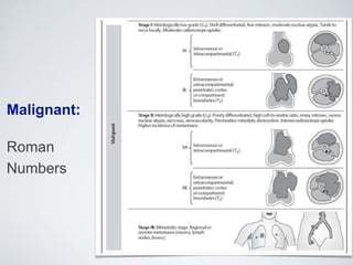 Malignant:
Roman
Numbers
 