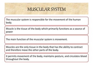 MUSCULAR SYSTEM
The muscular system is responsible for the movement of the human
body.
Muscle is the tissue of the body which primarily functions as a source of
power
The main function of the muscular system is movement.
Muscles are the only tissue in the body that has the ability to contract
and therefore move the other parts of the body.
It permits movement of the body, maintains posture, and circulates blood
throughout the body.
 