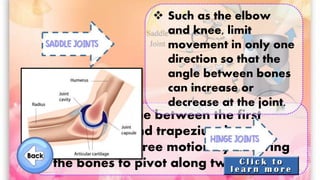  Such as the one between the first
metacarpal and trapezium bone,
permit 360 degree motion by allowing
the bones to pivot along two axes.
 Such as the elbow
and knee, limit
movement in only one
direction so that the
angle between bones
can increase or
decrease at the joint.
 