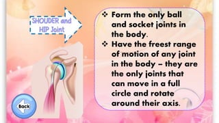  Form the only ball
and socket joints in
the body.
 Have the freest range
of motion of any joint
in the body – they are
the only joints that
can move in a full
circle and rotate
around their axis.
 
