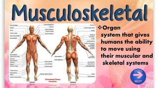 Organ
system that gives
humans the ability
to move using
their muscular and
skeletal systems
 