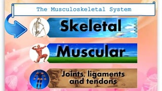 Skeletal
Muscular
Joints, ligaments
and tendons
The Musculoskeletal System
 