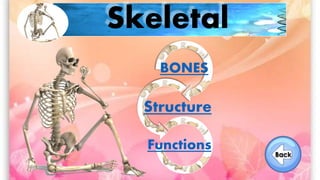 Skeletal
BONES
Structure
Functions
 