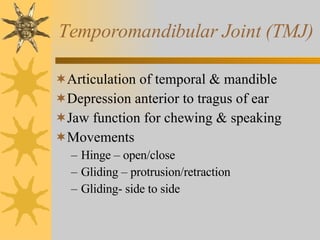 Temporomandibular Joint (TMJ) Articulation of temporal & mandible Depression anterior to tragus of ear Jaw function for chewing & speaking Movements Hinge – open/close Gliding – protrusion/retraction Gliding- side to side 