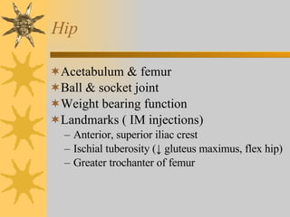 Hip Acetabulum & femur Ball & socket joint  Weight bearing function Landmarks ( IM injections) Anterior, superior iliac crest Ischial tuberosity ( ↓ gluteus maximus, flex hip) Greater trochanter of femur 
