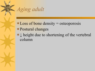 Aging adult Loss of bone density = osteoporosis Postural changes ↓  height due to shortening of the vertebral column 