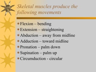 Skeletal muscles produce the following movements Flexion – bending Extension – straightening Abduction – away from midline Adduction – toward midline Pronation – palm down Supination – palm up Circumduction - circular 