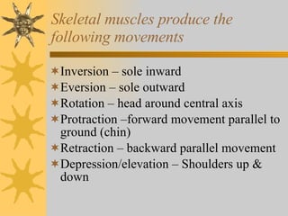 Skeletal muscles produce the following movements Inversion – sole inward Eversion – sole outward Rotation – head around central axis Protraction –forward movement parallel to ground (chin) Retraction – backward parallel movement Depression/elevation – Shoulders up & down 