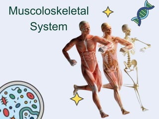 Muscoloskeletal
System
 
