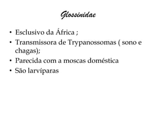 Glossinidae
• Esclusivo da África ;
• Transmissora de Trypanossomas ( sono e
  chagas);
• Parecida com a moscas doméstica
• São larvíparas
 
