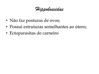 Hippoboscidae
• Não faz posturas de ovos;
• Possui estruturas semelhantes ao útero;
• Ectoparasitas de carneiro
 