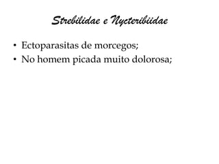 Strebilidae e Nycteribiidae
• Ectoparasitas de morcegos;
• No homem picada muito dolorosa;
 