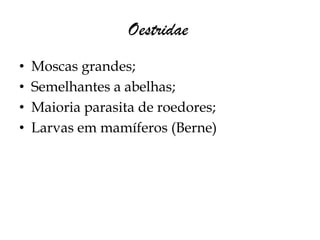 Oestridae
•   Moscas grandes;
•   Semelhantes a abelhas;
•   Maioria parasita de roedores;
•   Larvas em mamíferos (Berne)
 
