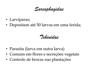 Sarcophagidae
• Larvíparas;
• Depositam até 50 larvas em uma ferida;


                 Tchinidae
• Parasita (larva em outra larva)
• Comuns em flores e secreções vegetais
• Controle de brocas nas plantações
 