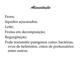 Alimentação
Fezes;
líquidos açucarados;
Leite;
Frutas em decomposição;
Regurgitação;
Pode transmitir patógenos como: bactérias,
  ovos de helmintos, cistos de protozoários
  entre outros.
 